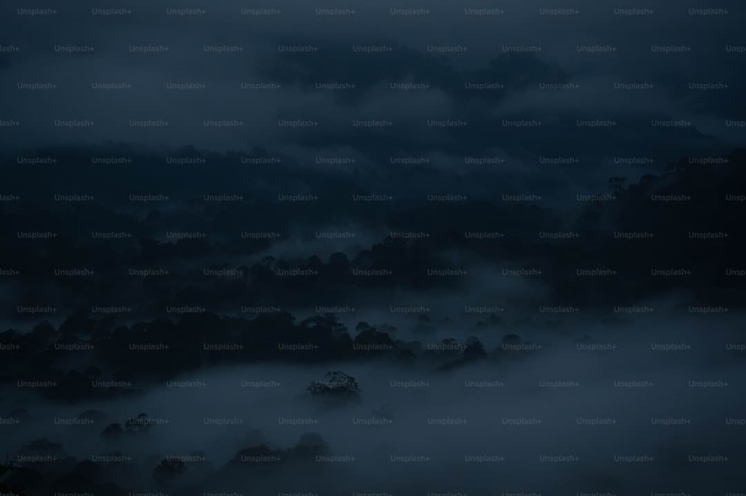 诏安梅岭:七夕献血传递爱 志愿服务暖人心